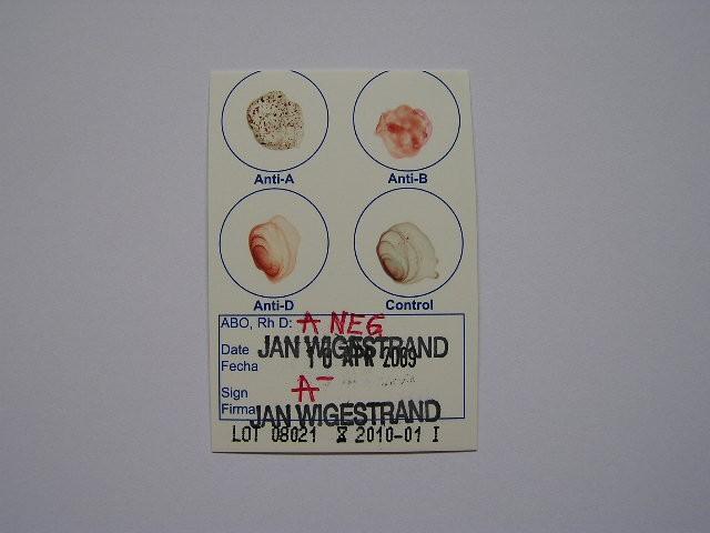 Jan Wigestrand Welcome To Janwigestrandsouthafrica Com
